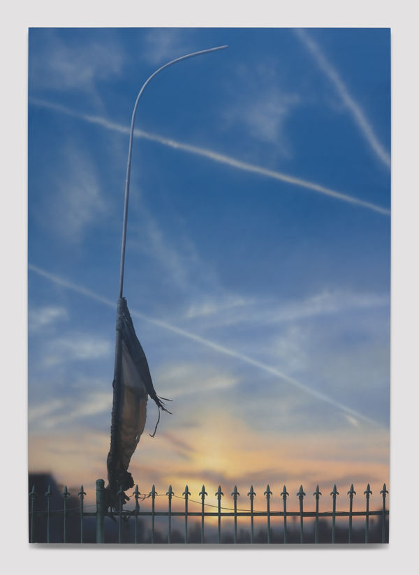 Sayre Gomez, Flag, 2019