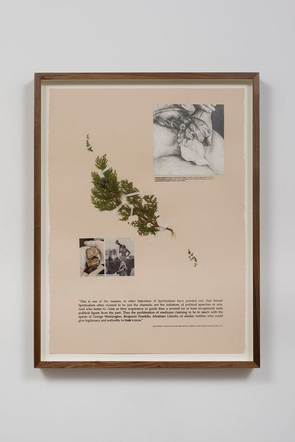 Candice Lin, The Hand of an Important Man, 2015