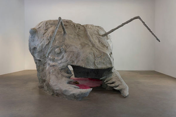 Candice Lin, You Are a Parasite, 2015