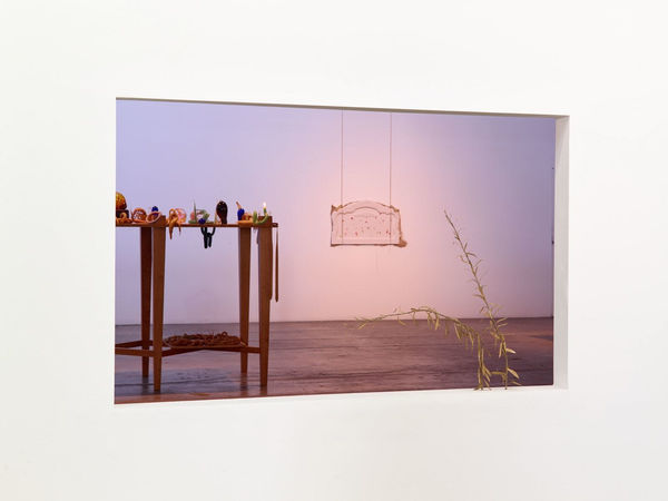 Kelly Akashi, Bending Weeds, 2016