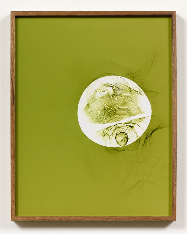 Kelly Akashi, Image of a Thing (Pink), 2016