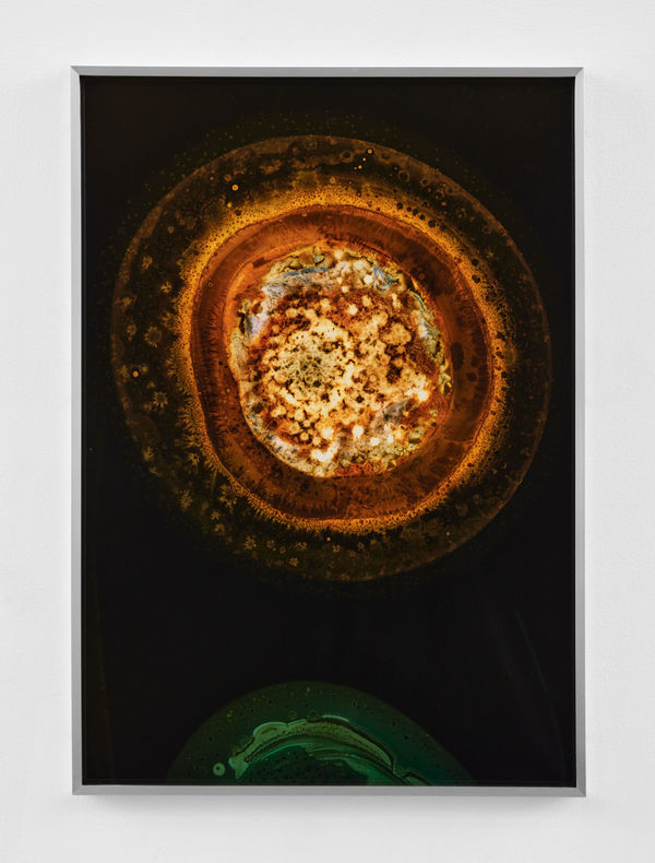 Kelly Akashi, Formation, 2021