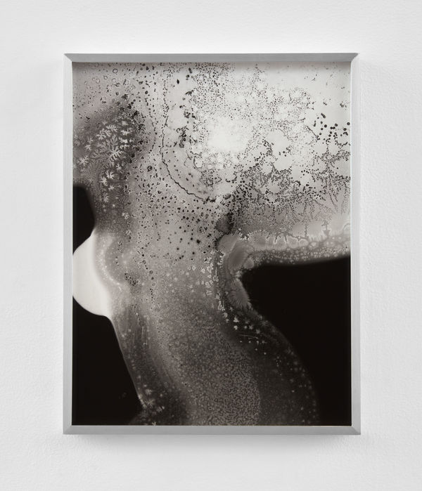 Kelly Akashi, Formation, 2021