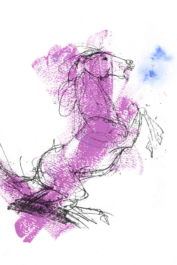 William (Bill) Brownridge, Fiery Horse