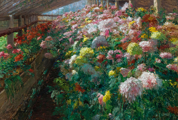Olga Wisinger-Florian, Chrysanthemen im Glashaus in Gedersdorf, 1910