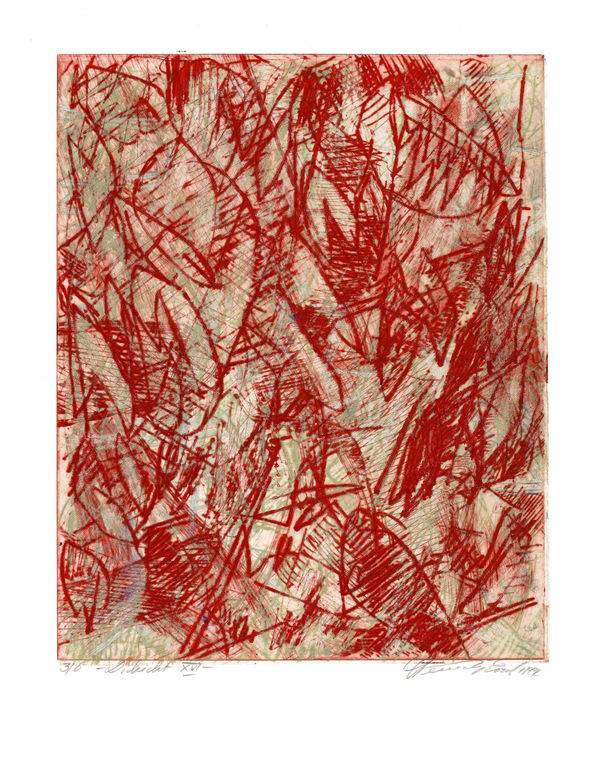 Erich Steininger, "Dickicht XVI", 1991