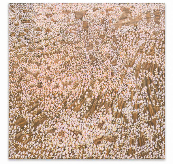 Michael Horsky Kreuzigungsblumen, 2024 Öl auf Leinwand 200 x 200 cm rückseitig signiert, betitelt und datiert: "Michael Horsky, Kreuzigungsblumen, 2024"