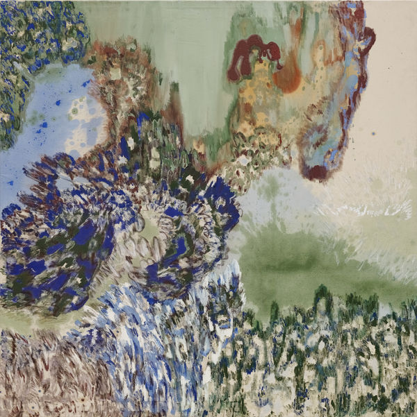 No Soil Grows From Candy Floss