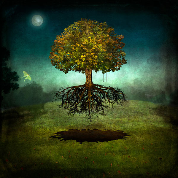 Maggie Taylor surrealist photography uprooted tree with swing purchase at Gilman contemporary