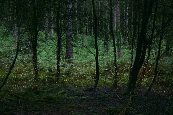 Ellie Davies stars series English photographer buy here Gilman Contemporary Sun Valley art gallery