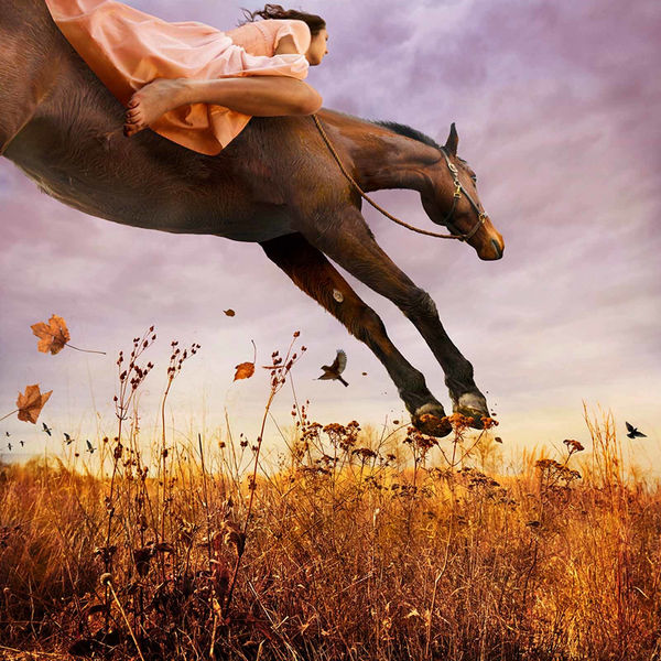 Tom Chambers photography girl riding horse through field in sunset sunrise