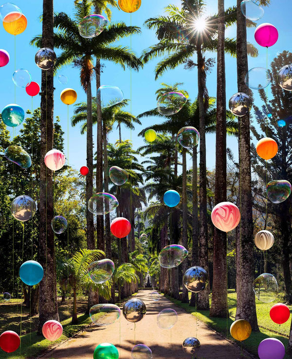 Rio De Janeiro Botanical garden photograph Flavia Junqueira buy here Gilman Contemporary