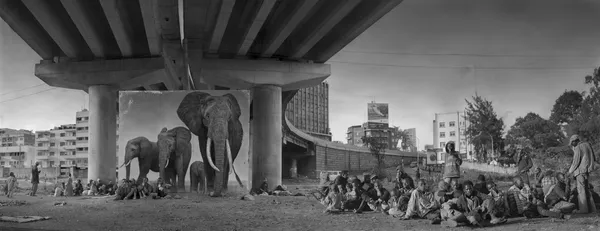 purchase Inherit the dust series Nick Brandt photography Gilman Contemporary Sun Valley art gallery