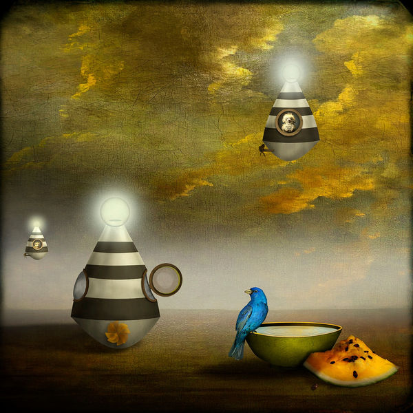 Maggie Taylor surrealist photography bird on bowl with fruit and lights purchase at Gilman contemporary