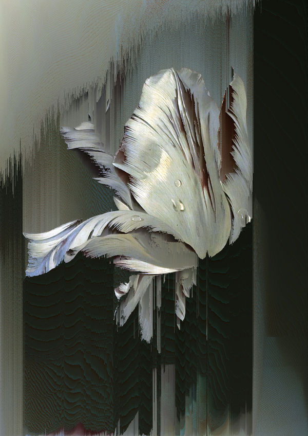 Fear and Greed 3, 2021 Archival inkjet on Epson Hot Press Bright Fine Art Paper 300gsm 59.4 x 42 cm 23 1/2 x 16 1/2 in