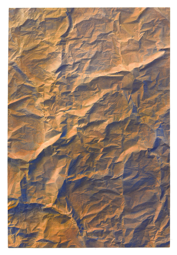 Exile (Screw #3), 2014 Financial newspaper collage, acrylic on canvas and polycarbonate 150 x 100 x 3.5 cm 59 1/2 x 39 1/2 x 1 1/2 in