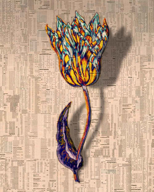 Tulipmania #9, 2012 Archival inkjet print with satin and UV glazes with hand-painting in acrylic on Somerset Satin 330 gsm paper Paper 62.0 x 50.6 cm / Image 50.8 x 40.6 cm