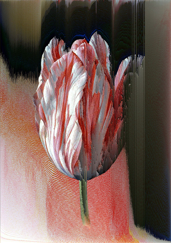 Fear and Greed 6, 2021 Archival inkjet on Epson Hot Press Bright Fine Art Paper 300gsm 59.4 x 42 cm 23 1/2 x 16 1/2 in