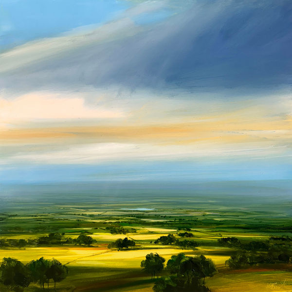 Sunlit Serenity Harry Brioche