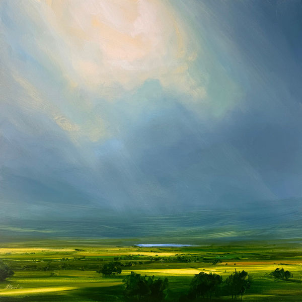 A Symphony of Light Harry Brioche