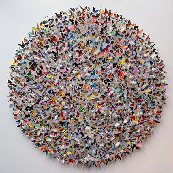 Albums 02 Rebecca J Coles