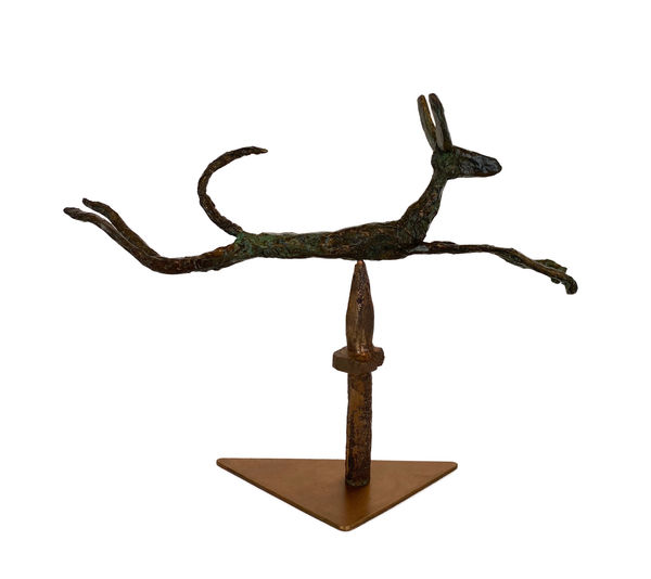 Leaping Podenco. A flying Ibiza hound