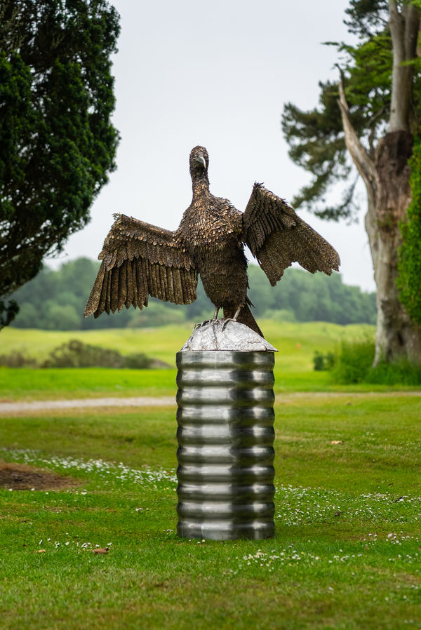 The Sun Worshipper Nigel Connell Bass