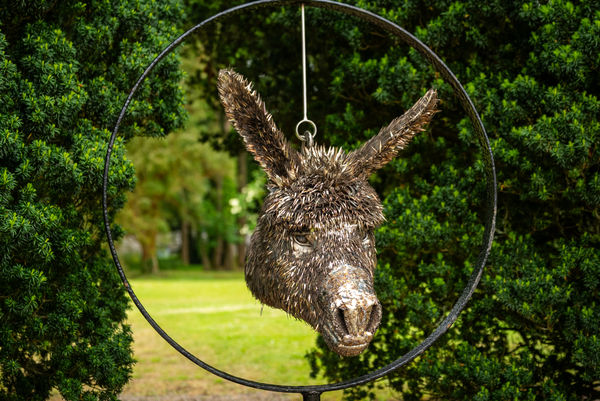 Séamus, 2025 Nigel Connell Bass