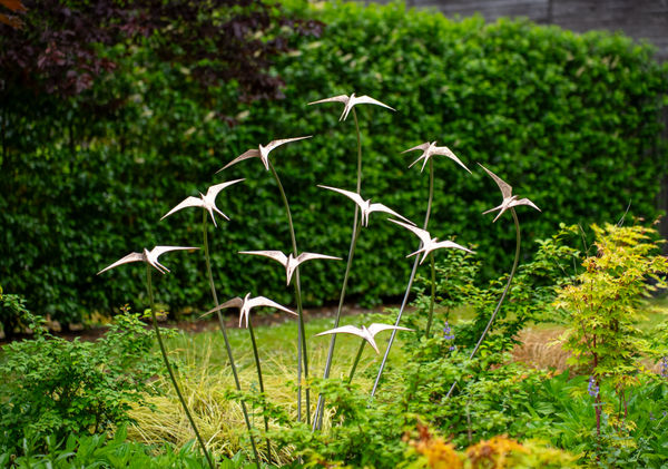 Through Summer Air Ian Pollock