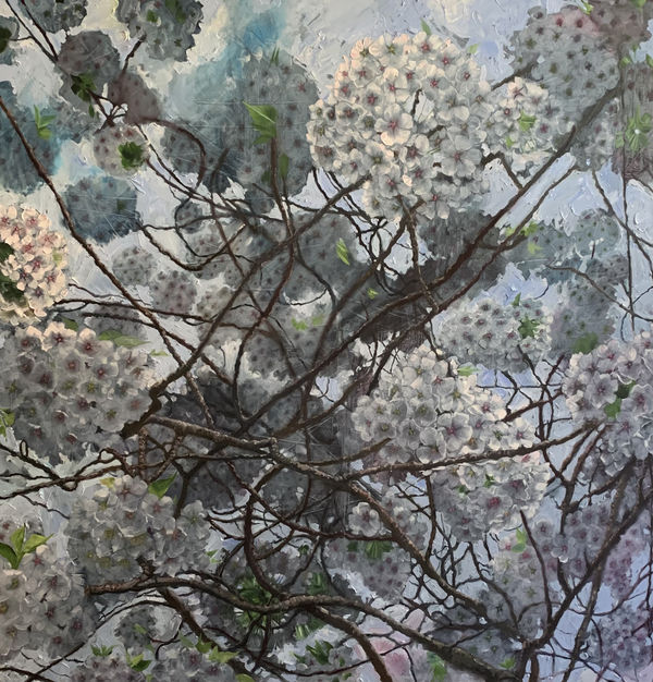 Everything’s going to be alright, 2026 Jenny Hamilton