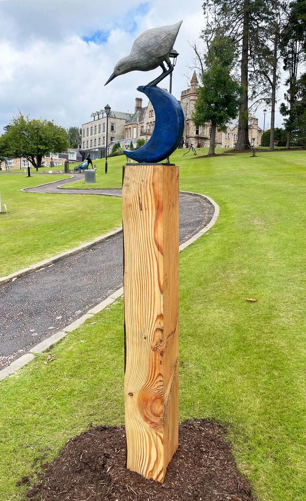 Night Heron Fiona Smith