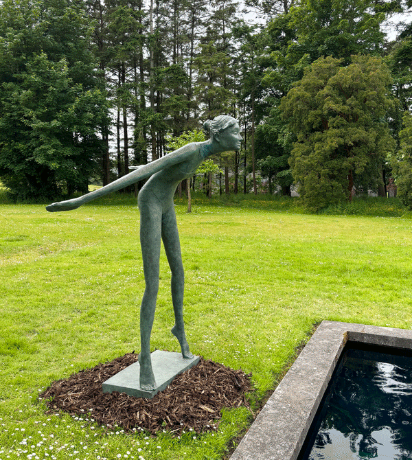 Into the Blue Bob Quinn