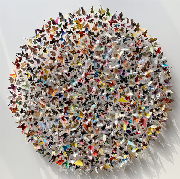 Albums 01 Rebecca J Coles