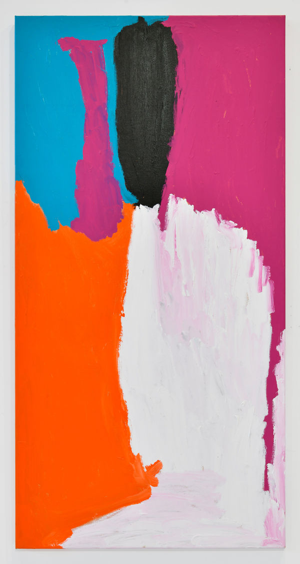 Mirdidingkingathi Juwarnda Sally Gabori, Dibirdibi Country