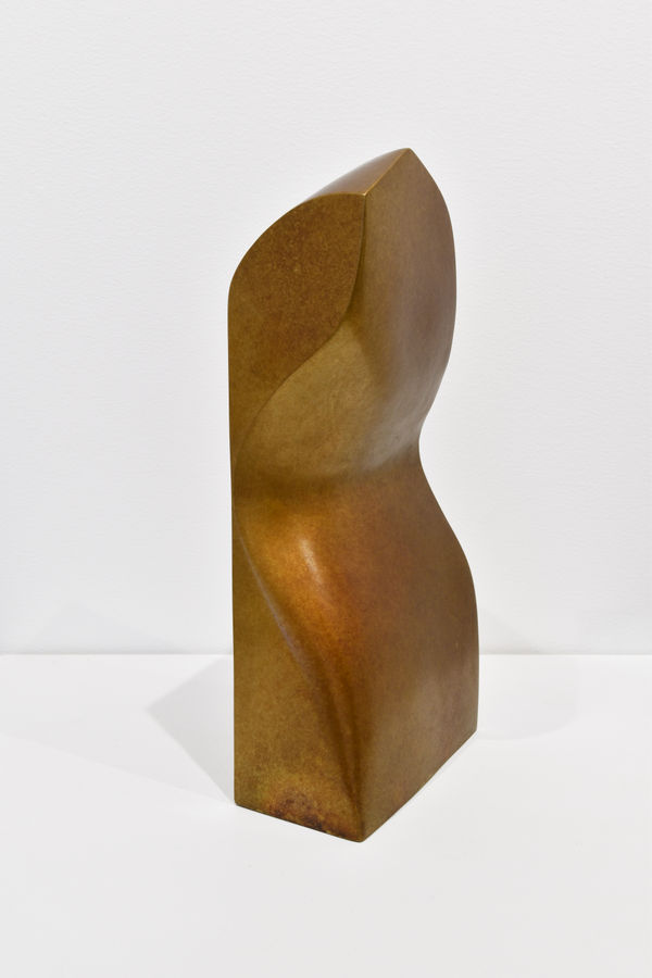 Tanya Ashken, Abstract 88, 1988/2024