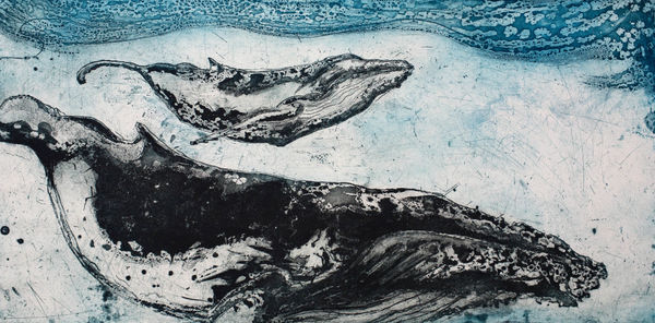 Marion MacPhee, Humpback and Calf, 2012