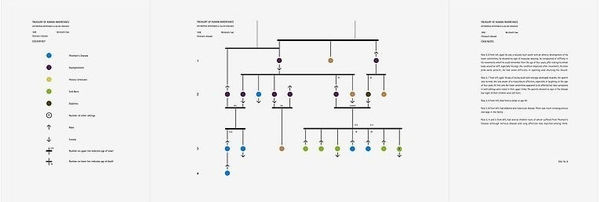 Christine Borland, Treasury of human inheritance 1049 Bernhard's case, 2002