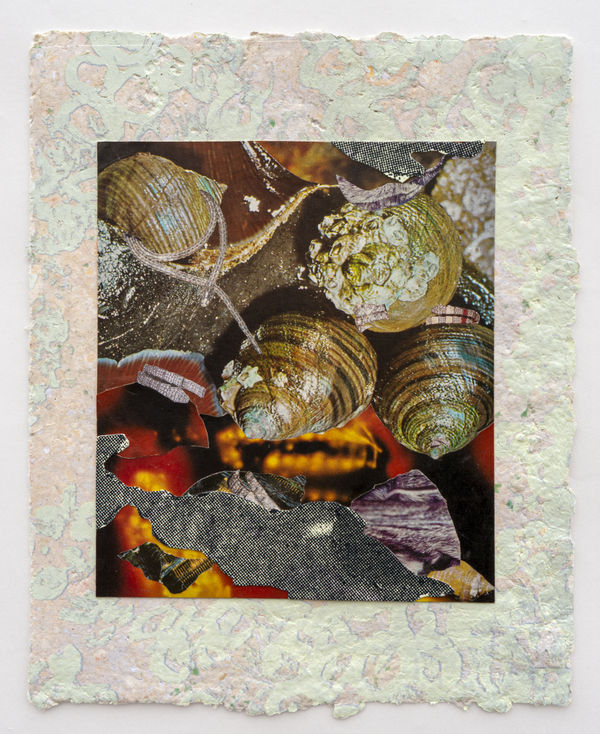 Lilian Ptáček, Snakes and Shells, 2020