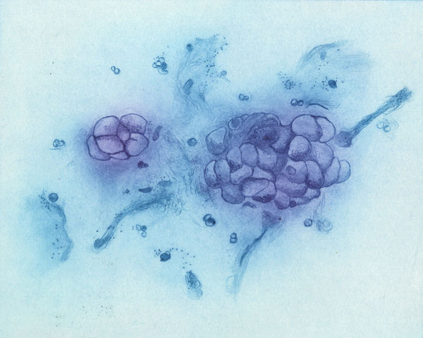 Hanne Lillee, Untitled (The Breeders Series), 2020