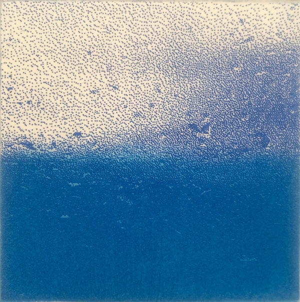 Sandi Anderson, Plate Walk 57