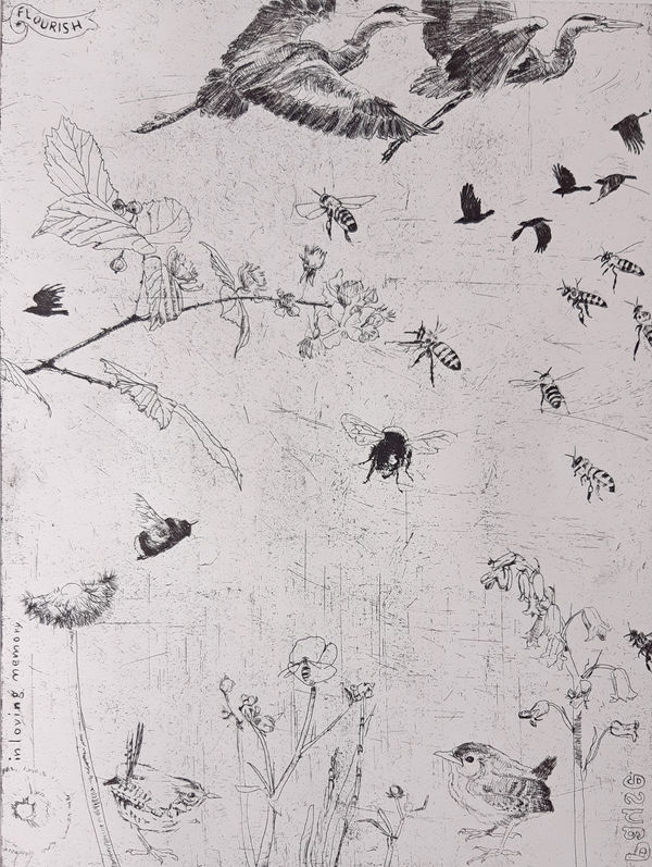 Jane Gardiner, Small Flights, 2022