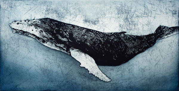Marion MacPhee - Humpback Whale VI, 2023