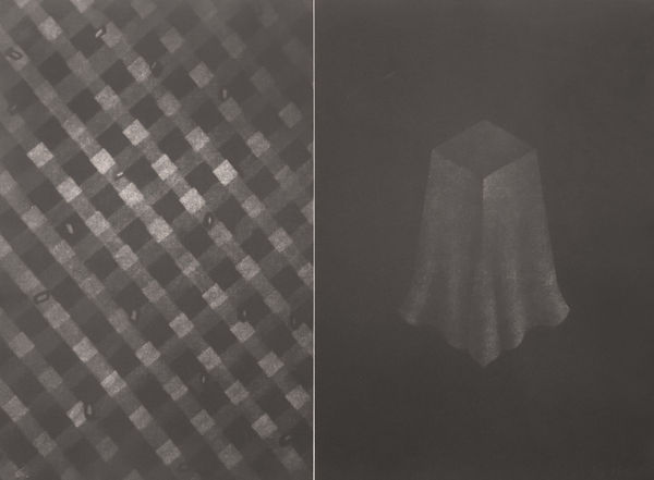 Dina Gueler, Untitled (Aquatina), 1996