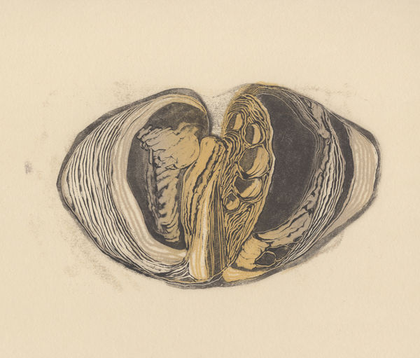 Hanne Lillee, Untitled (Breeders V), 2021