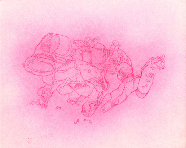 Hanne Lillee, Untitled (The Breeders Series), 2020