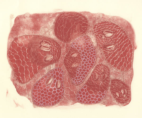 Hanne Lillee, Untitled (Breeders IX), 2021