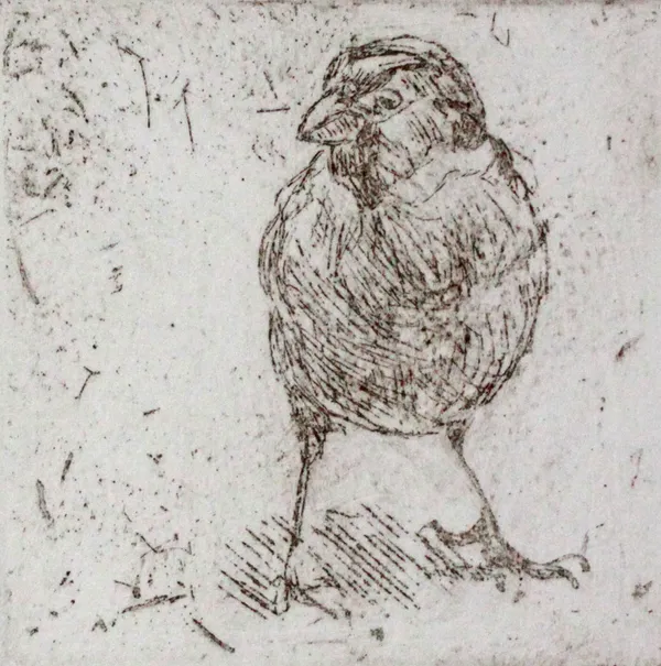 Jane Gardiner, Spug, 2021