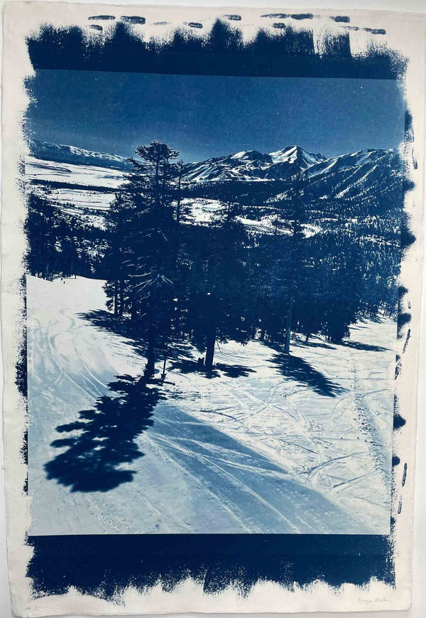 Georgia Merton, Mammoth Trees