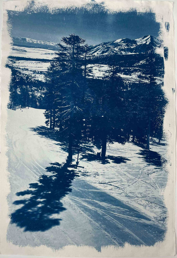 Georgia Merton, Mammoth Trees