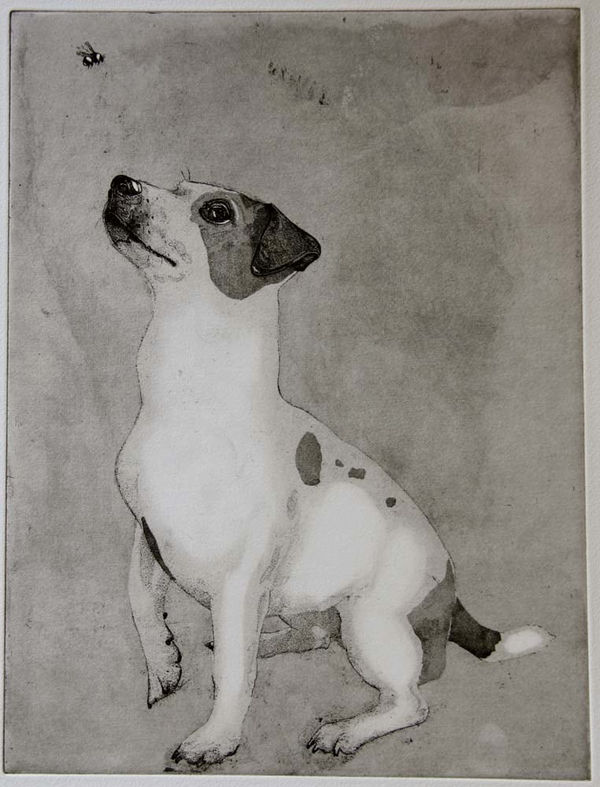 Guy Allen, Liffy and the Bumblebee